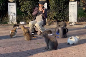 公園の真ん中で奏でられる笛の音。その音楽に酔いしれているのは・・、なんとも癒やされる微笑ましい光景が！！【海外・動画】