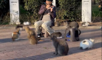 公園の真ん中で奏でられる笛の音。その音楽に酔いしれているのは・・、なんとも癒やされる微笑ましい光景が!!【海外・動画】