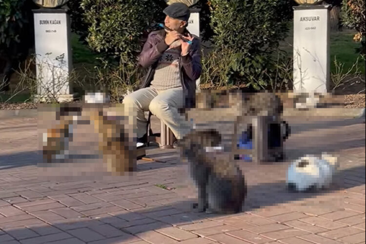 公園の真ん中で奏でられる笛の音。その音楽に酔いしれているのは・・、なんとも癒やされる微笑ましい光景が！！【海外・動画】