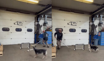 この犬、スポーツ万能過ぎる!!スティックを構えて見事にシュートを決めました!!