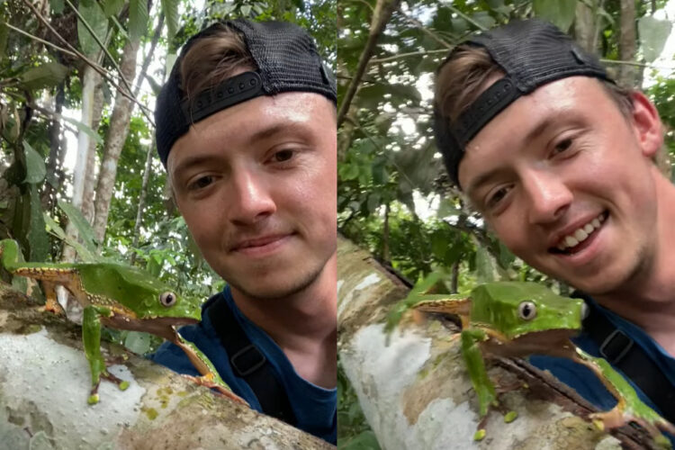 木の上を移動しているのはサル・・ではなく、手足の長いカエルだ！その動きにビックリ！！【海外・動画】
