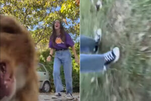 大変だ！犬がカメラをくわえて走って行っちゃった！！後から映像を確認したら、この犬の目線の疾走感ある映像が撮れていました！！