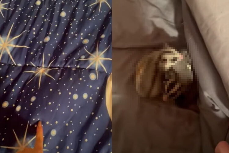 撮影者さんの声に応じるように響く物音。そこで布団をめくると・・、そこには『ある動物』たちが丸まっていました！！