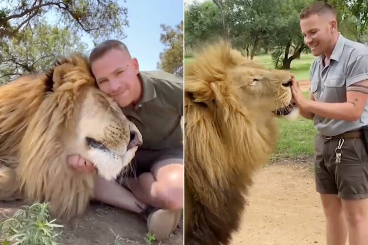 10年来のベストフレンドは『百獣の王』ライオン！抱き合ったりキスしたり愛情溢れる映像は衝撃です！