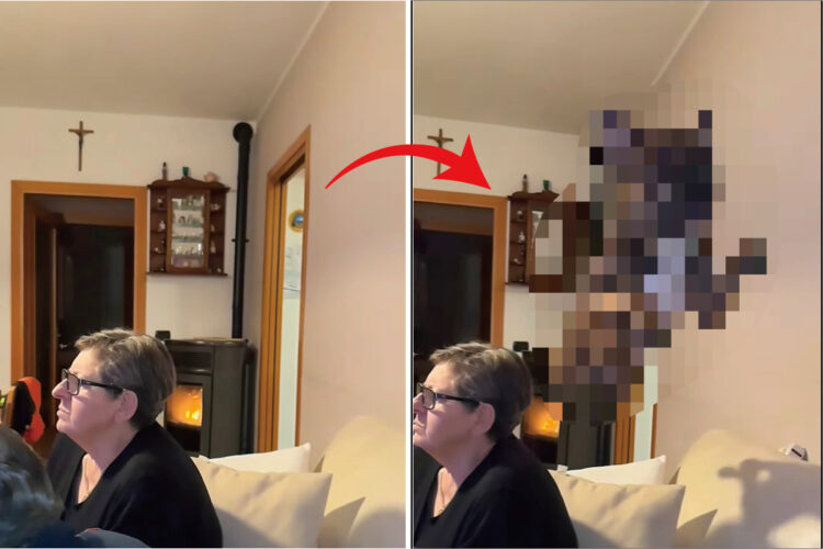 リビングでくつろぐ家族。そこにピョ〜〜ンと飛んできたのはなんと・・！！【海外・動画】