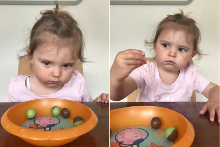 大好きなチョコレートが目の前に！ママはダメって言ってたけど・・・食べちゃう？女の子の仕草が可愛すぎる！