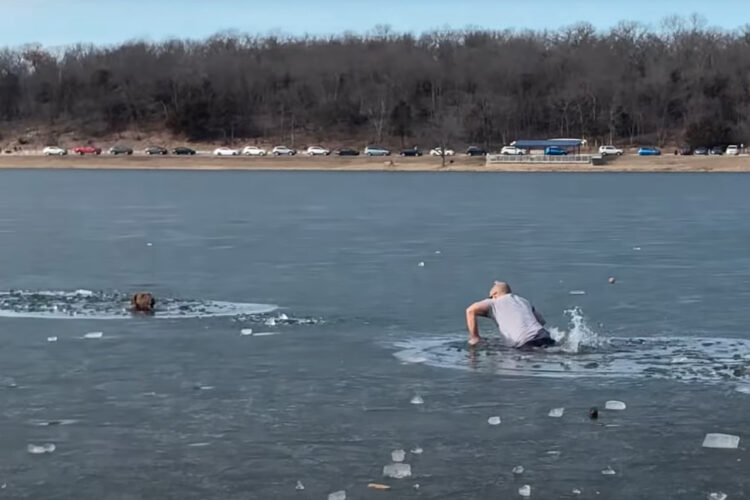 大変！犬が氷の張った湖の中に落ちちゃった！！この子を救うため男性が氷を割りながら湖の中を進んでいきます！！【アメリカ・動画】