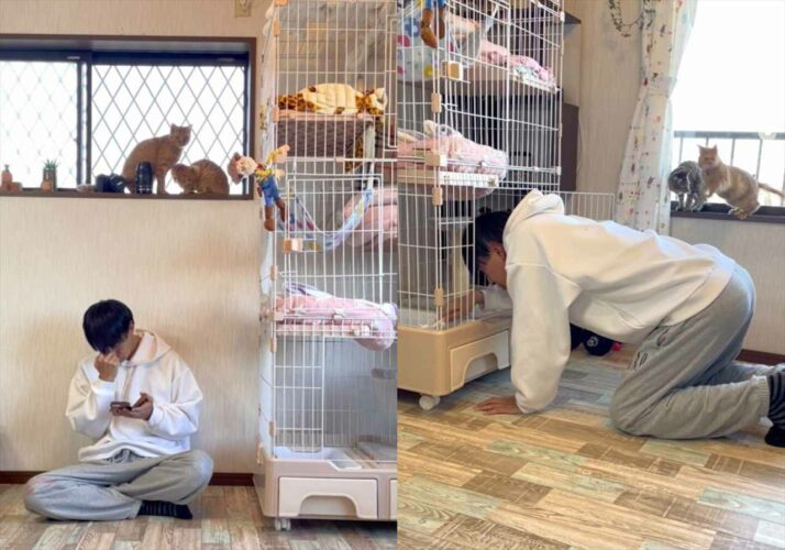 「楽しいコトも辛いコトも痛いコトも全部かけがえのない思い出」保護猫たちと過ごした時間をおさめた動画が大反響！