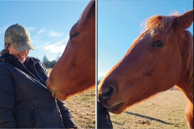 この馬とっても賢い！女性のアウターに顔を寄せていると思ったら、とっても器用な行動に出ました！！【アメリカ・動画】