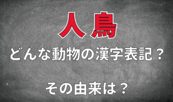 「人鳥」と書いてなんて読む？それは、南極などに生息する動物園や水族館のあの人気者です！！
