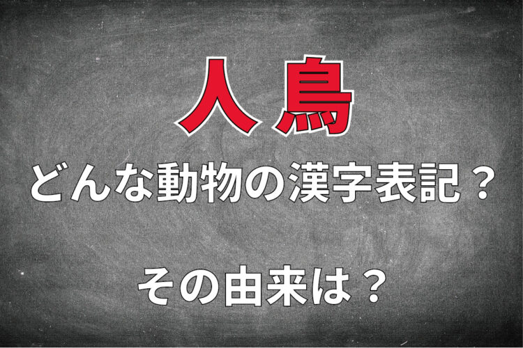「人鳥」と書いてなんて読む？それは、南極などに生息する動物園や水族館のあの人気者です！！