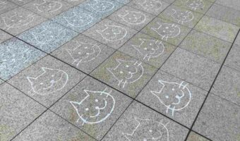これは凄い!猫の日にちなんで日暮里駅に駅員の“手書き猫”が出現 !!「楽しい駅ですね」「期間限定ではもったいない!」
