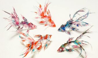 “紙で作ったとは思えない紙作品”が素敵だと話題に!「動き出しそうなくらいリアル」「紙とは思えない透明感」