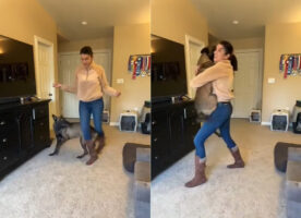 ふたりの息ぴったし！愛犬が抜群のコンビネーションを見せてくれました！！【アメリカ・動画】