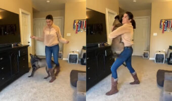 ふたりの息ぴったし!愛犬が抜群のコンビネーションを見せてくれました!!【アメリカ・動画】