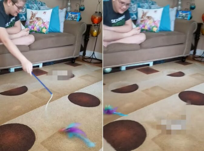 ソファに座って猫じゃらしを右へ左へ。男の子のこの動きにすっかり夢中になっているのは・・、猫ではなく『ある生き物』でした！！