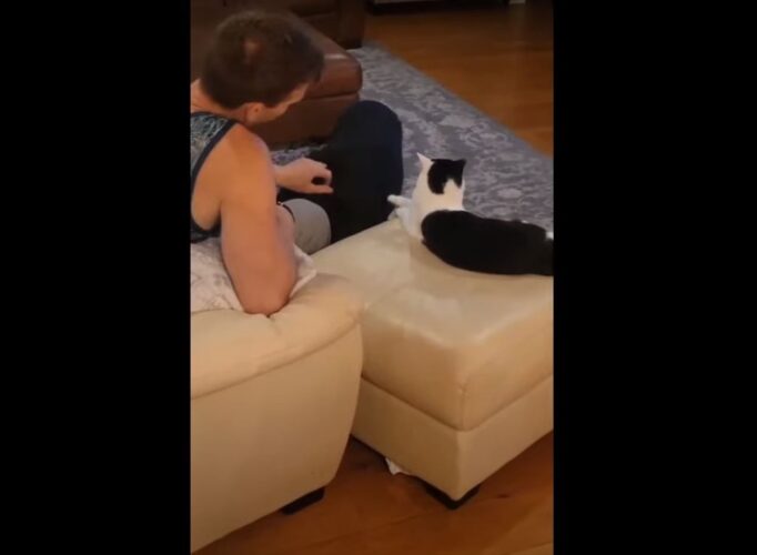 犬の顔がすべてを物語っている・・。飼い主さんにナデナデしてもらっていい気持ちになっていた所に、猫もこっそり参加したら？？