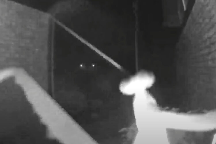 モーションセンサーが反応して捉えた来客の姿。玄関にいたのは・・、とても意外な『ある生き物』でした！！