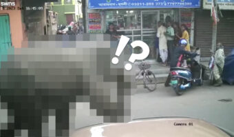 買い物客でにぎわう市場に予期せぬ訪問者が！インドで撮影された映像には、動物園の人気者が映っていましたよ！