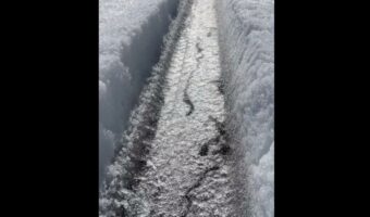 一体どういうこと!?水がニョロニョロと流れていて、まるでヘビのように見える現象が話題に!「ジブリで見たことある」