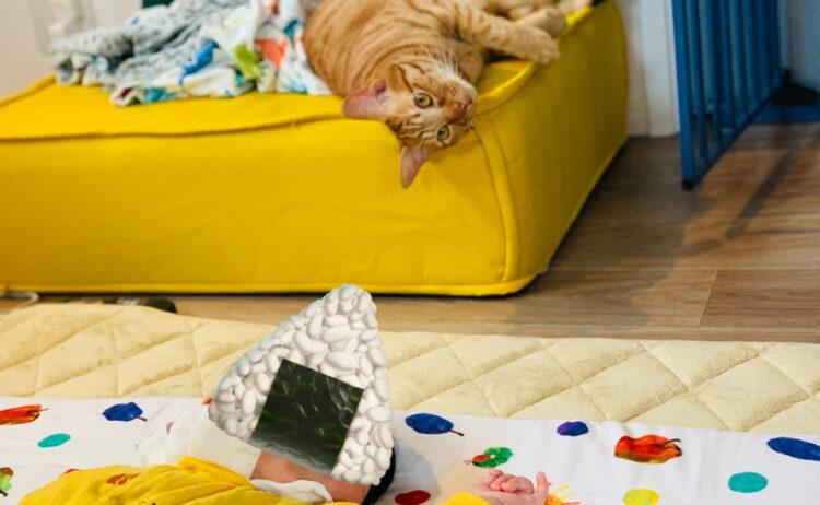 寝ている赤ちゃんに触ってみたい猫さん。そっと近づいてみたけど触り方のクセがすごい