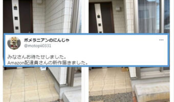 配達員さんの置き配確認の写真に写り込むのが上手なポメがかわいすぎる！しっかり入れて撮影する配達員さんグッジョブ！