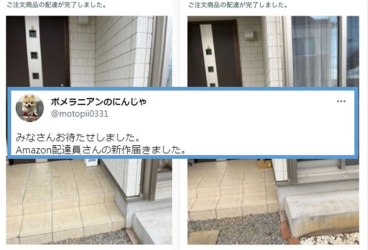 配達員さんの置き配確認の写真に写り込むのが上手なポメがかわいすぎる！しっかり入れて撮影する配達員さんグッジョブ！