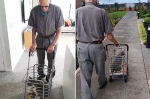 今日も一緒にお散歩に行く90歳のおじいさんと猫。仲良く進んでいくふたりの姿が尊くて温かい！！