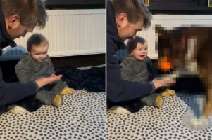 「おてて出して」と伝えたくても、さすがに赤ちゃんには理解してもらえない？そこにお手本を見せにやって来てくれたのは・・【海外・動画】