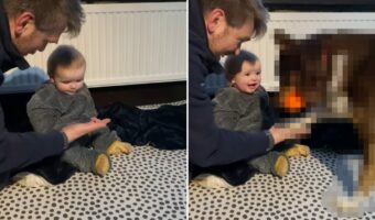 「おてて出して」と伝えたくても、さすがに赤ちゃんには理解してもらえない?そこにお手本を見せにやって来てくれたのは・・【海外・動画】