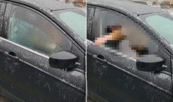 車のサイドウィンドウを開けると、外側にもう一枚ガラスが!?二重になっているの?と思ったら、実はこれ・・【アメリカ・動画】