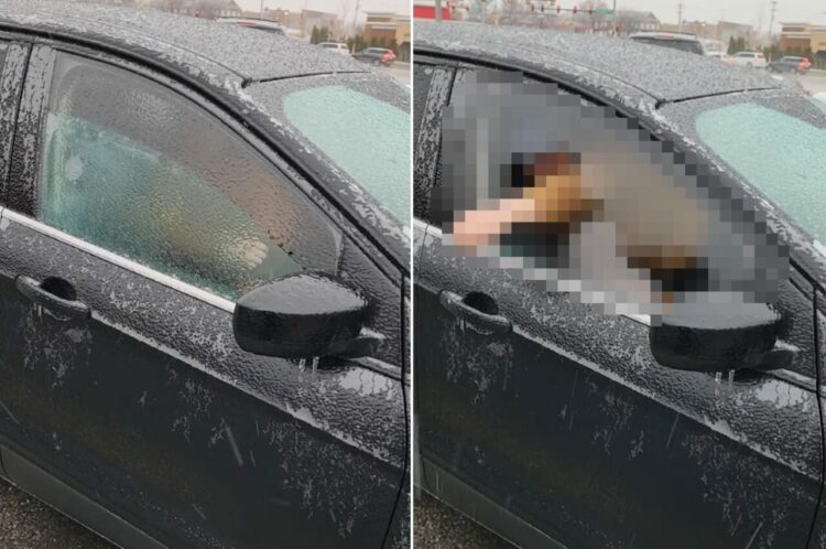 車のサイドウィンドウを開けると、外側にもう一枚ガラスが！？二重になっているの？と思ったら、実はこれ・・【アメリカ・動画】