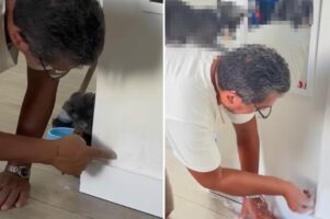 ペンキ屋さんの塗装作業をすぐ近くで見守る子猫。人懐っこいこの子は、行動がどんどん大胆になっていきついに・・！！【海外・動画】