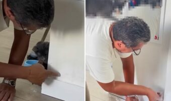 ペンキ屋さんの塗装作業をすぐ近くで見守る子猫。人懐っこいこの子は、行動がどんどん大胆になっていきついに・・!!【海外・動画】