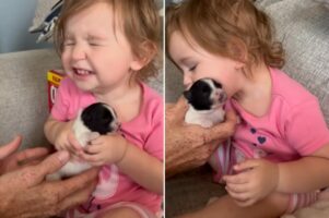 幼い女の子は子犬にメロメロ！かわいさを噛みしめるような表情を浮かべたり、キスをプレゼントしてあげます！！【アメリカ・動画】
