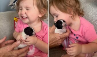 幼い女の子は子犬にメロメロ!かわいさを噛みしめるような表情を浮かべたり、キスをプレゼントしてあげます!!【アメリカ・動画】