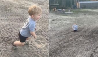 男の子はかくれんぼの達人!10数える間に素早く身を潜めます。これはどこに隠れたのか分かりません・・よ!!【アメリカ・動画】