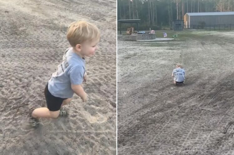 男の子はかくれんぼの達人！10数える間に素早く身を潜めます。これはどこに隠れたのか分かりません・・よ！！【アメリカ・動画】