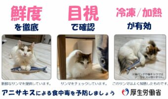 厚生労働省がTwitterでアニサキスの注意喚起ツイート拡散を目的に、猫の画像を採用し話題に！ 「アニサキスより、猫に目がいく！」