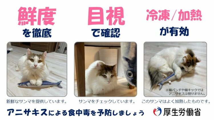 厚生労働省がTwitterでアニサキスの注意喚起ツイート拡散を目的に、猫の画像を採用し話題に！ 「アニサキスより、猫に目がいく！」