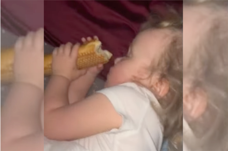 ごはんを食べている途中でおねむになった女の子。寝ているようなのでギュッと握るパンを一回避けようとしたら・・、まさかのリアクションが！！