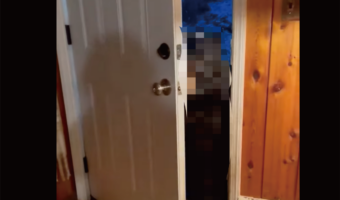 ドアを開けたら玄関の前に『ある動物』が!その姿にもビックリですが、更に驚きの行動に!?【アメリカ・動画】