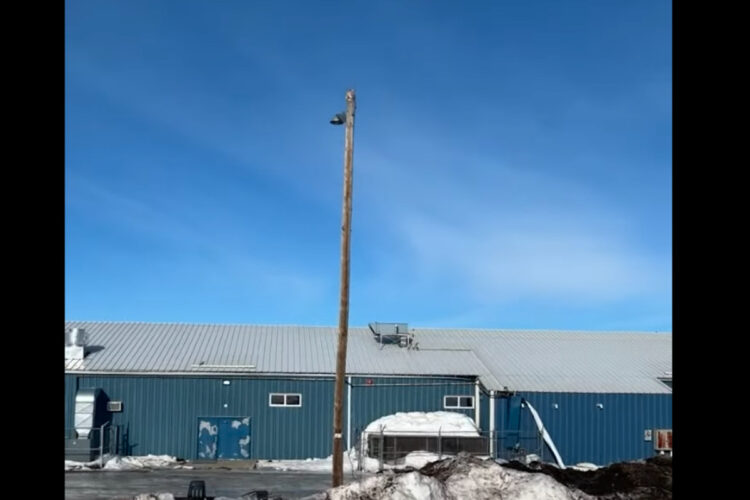 外に遊びに出た猫のビックリする行動。姿が見えないのでどこに言ったのかと思ったら・・、とんでもない場所にいました！！