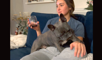 飼い主さんにかまってほしい愛犬。ソファでくつろぐ飼い主さんの手を取りアピールする姿がいじらしいし、かわいすぎる！！【海外・動画】