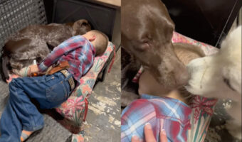 愛犬と一緒にお昼寝をする男の子。ぬくもりも感じられて気持ちよく寝ていたようですが・・、あたりはもうは暗いし、なによりそこは外だよ！