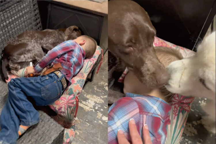 愛犬と一緒にお昼寝をする男の子。ぬくもりも感じられて気持ちよく寝ていたようですが・・、あたりはもうは暗いし、なによりそこは外だよ！