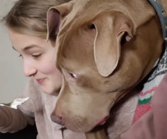 飼い主さんに後ろから寄りかかる愛犬。この子が物欲しそうに見つめるのは・・【アメリカ・動画】
