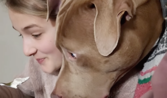 飼い主さんに後ろから寄りかかる愛犬。この子が物欲しそうに見つめるのは・・【アメリカ・動画】