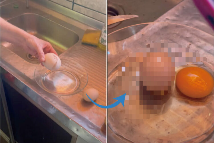 卵の中に卵が！？非常に珍しい二重卵を割る映像！