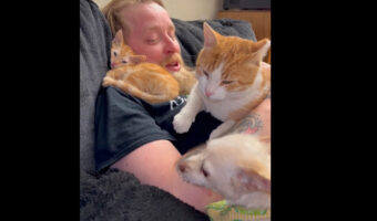 これは身動きが取れない!愛する小さな家族に埋もれたパパさんはまるでベッドになっているみたい【海外・動画】